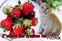 Chat et fraises - Безплатен анимиран GIF