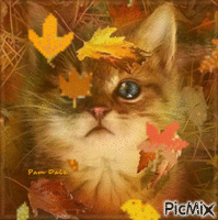 Autumn Leaves - Безплатен анимиран GIF