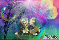 OWL FANTASY 21 animerad GIF