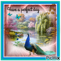 Have a perfect day animēts GIF