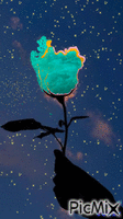 Rosa recortada animēts GIF