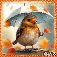 AUTOMNE - Free PNG