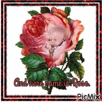 welcome baby Animiertes GIF