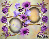 cadre fleurs GIF animasi