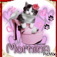 Morning Friends - Free animated GIF