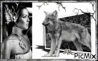 Belle et les loups GIF animado