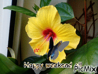 Happy weekend - GIF animado gratis