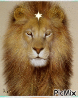 Rei Leão - Besplatni animirani GIF