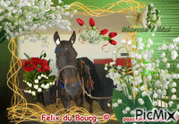 Le champion Felix du Bourg. © Animated GIF