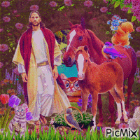 Jésus et ses amis