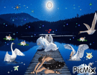 озеро для лебедей - танцпол - GIF animado gratis