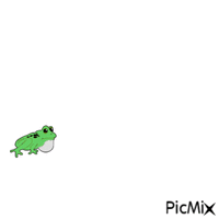 jumping frog animovaný GIF