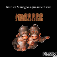 Manage - Bezmaksas animēts GIF