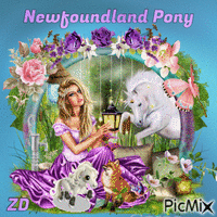 Newfoundland pony - GIF animé gratuit