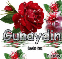 gunaydin - Zdarma animovaný GIF