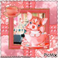 ♥Pink Teachup Chihuahua♥ анимированный гифка