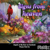Signs from Heaven GIF animado