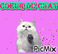 coeur de chat - GIF animado gratis