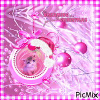 Pink Christmas Cat