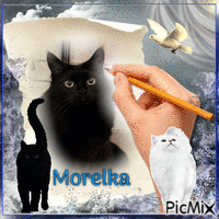 Morelka - Ingyenes animált GIF