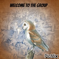 winter welcome owl animovaný GIF