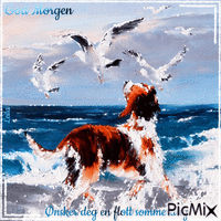 Good Morning. Wish you a nice summer day. Dog 动画 GIF