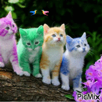 Gatitos GIF animasi