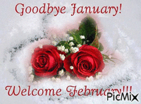 Goodbye January Welcome February GIF animé
