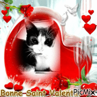 saint valentin - GIF animé gratuit