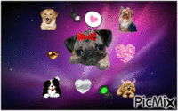 i love the dogs - GIF animate gratis