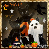 Halloween bonjour Animated GIF