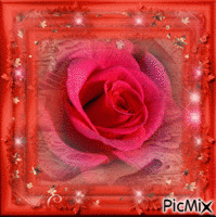 Rózsa - Nemokamas animacinis gif