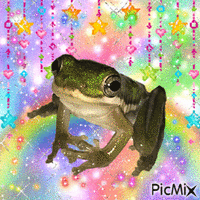 🌈 frog 🌟 geanimeerde GIF