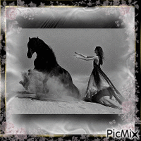 cheval dans le sable - Безплатен анимиран GIF