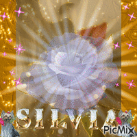 Silvia - GIF animado grátis