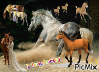 I love horses κινούμενο GIF
