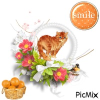 Smile Its National Orange Day 动画 GIF
