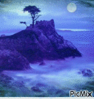 Night blue animovaný GIF