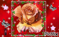 Amantes De Las Flores y Plantas - Besplatni animirani GIF