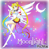 Sailor Moon: Moonlight