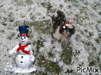 Lekker rennen in de sneeuw - GIF animé gratuit