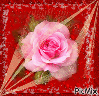 Rózsaszín rózsa - GIF animé gratuit