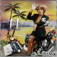 Tina Turner R.I.P - GIF animado grátis