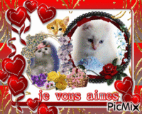 petits chats κινούμενο GIF