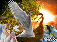 angels - Бесплатный анимированный гифка