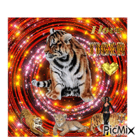 I love tiger - Gratis geanimeerde GIF