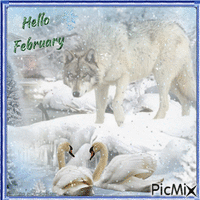 Concours : Hello February - Gratis geanimeerde GIF