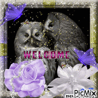 WELCOME OWL анимирани ГИФ