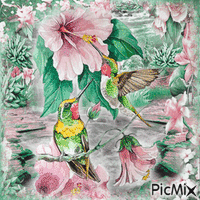 Flowers and hummingbirds - Bezmaksas animēts GIF