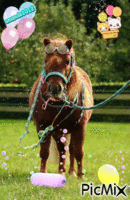 Petit poney - GIF animé gratuit